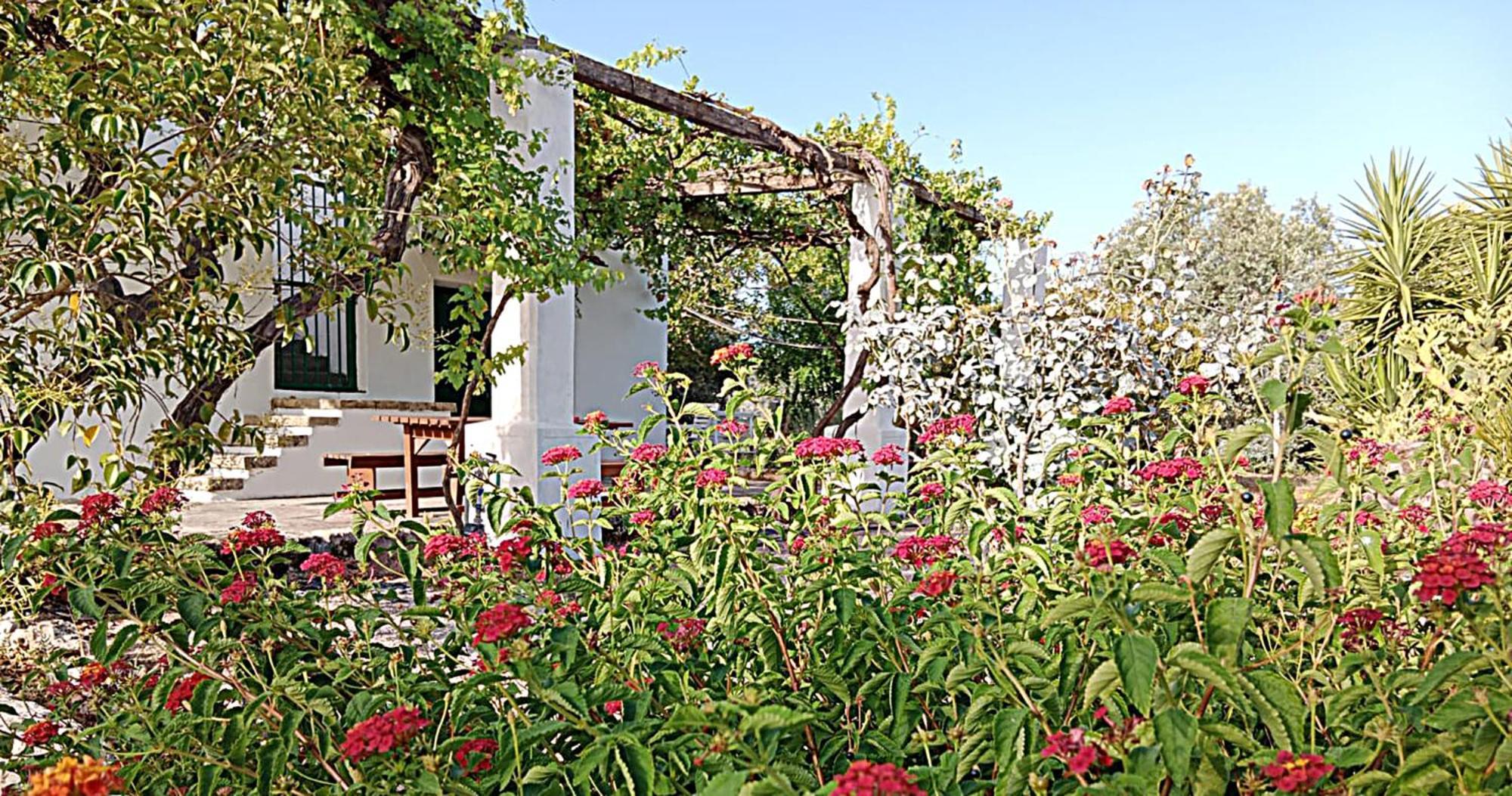 La Pila Masseria Salentina Con Piscina 3 Camere Con 6 Pl Si Animali Domestici Казарано Экстерьер фото